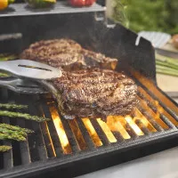 Barbecue à gaz Weber Spirit E-335 Réchaud - 5